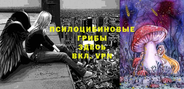apvp Балахна
