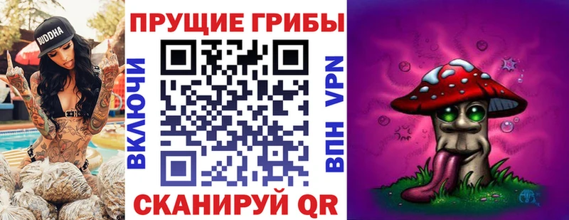 Купить Дегтярск Псилоцибиновые грибы Cubensis